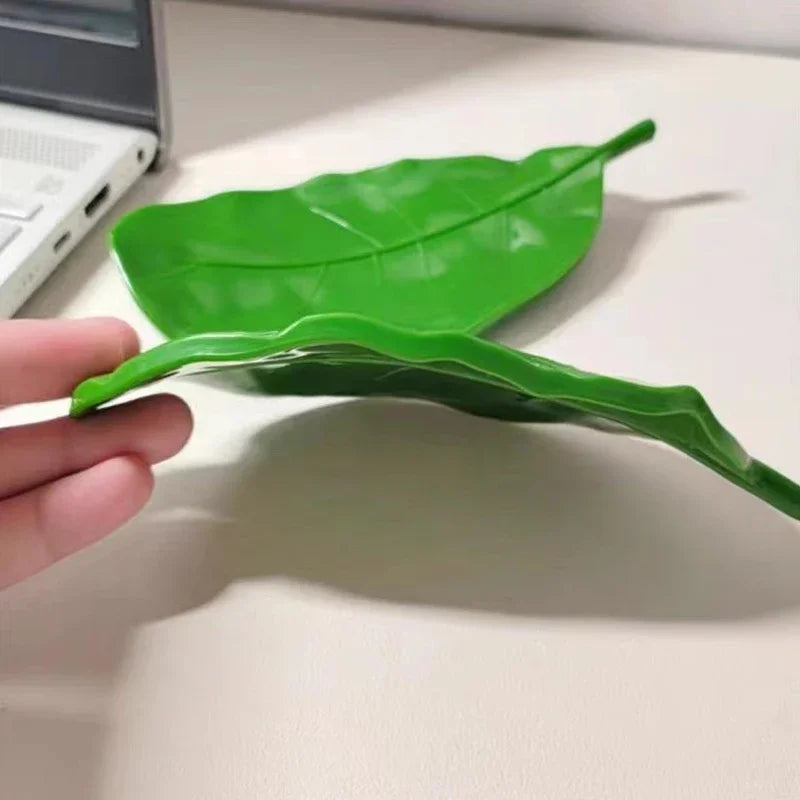 Soap Dish