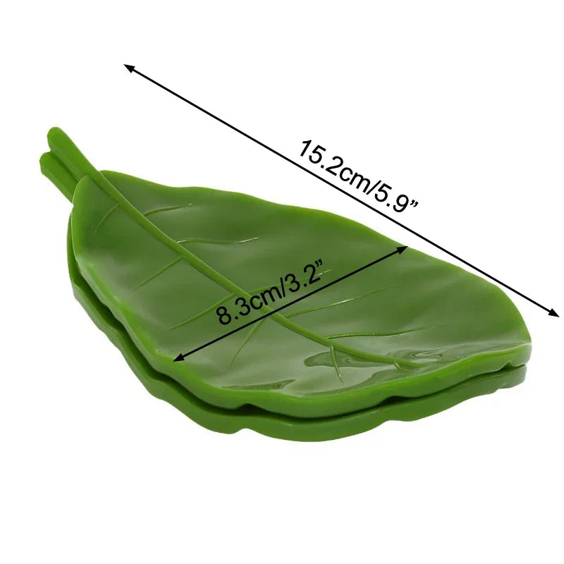 Soap Dish
